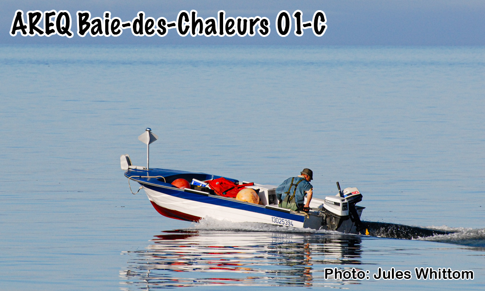 AREQ secteur Baie-des-Chaleurs (01C)