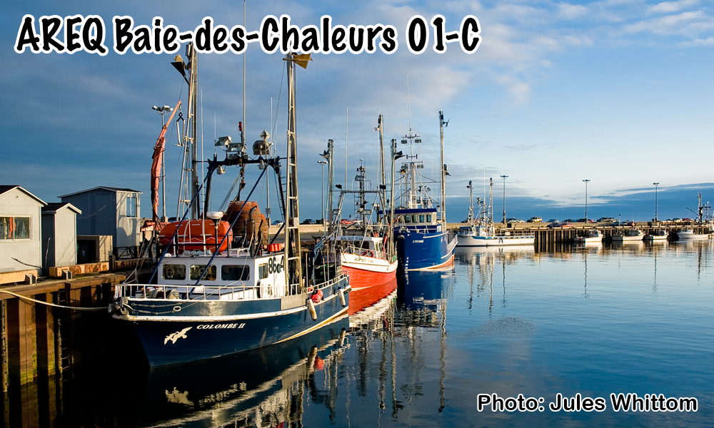 AREQ secteur Baie-des-Chaleurs (01C)