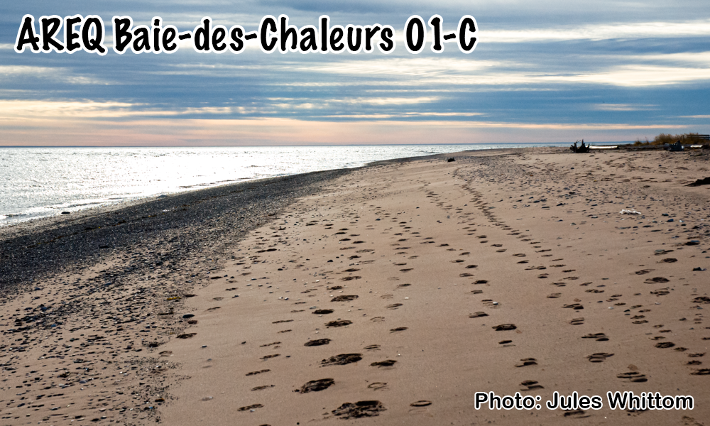 AREQ secteur Baie-des-Chaleurs (01C)