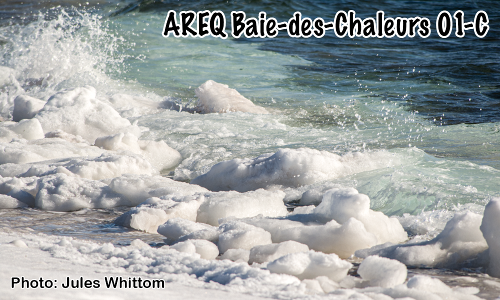 AREQ secteur Baie-des-Chaleurs (01C)